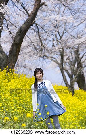 Portrait of a woman standing in rape field, smiling and looking at camera, front view, Japan View Large Photo Image Stock Image - Portrait of a woman standing in rape field, smiling and looking at camera, front view, Japan. Fotosearch