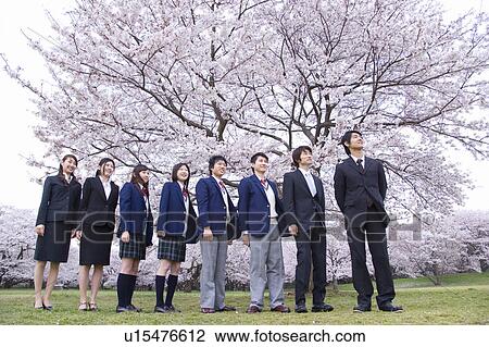 Students and New Business People Lining Up, Side View, Low Angle View, Full Length View Large Photo Image Stock Image - Students and New Business People Lining Up, Side View, Low Angle View, Full Length. Fotosearch