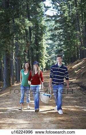 Teenagers carrying picnic equipment in forest View Large Photo Image Stock Photograph - Teenagers carrying picnic equipment in forest. Fotosearch