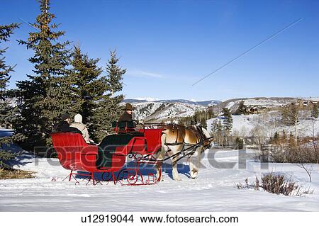 Picture - Couple in horse-drawn sleigh in snow. Fotosearch