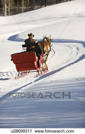 Stock Photo - Rear view of man in horse drawn sleigh traveling a snow covered hill.. Fotosearch