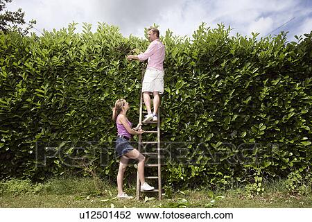 Couple trimming foliage View Large Photo Image Stock Image - Couple trimming foliage. Fotosearch