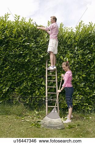 Couple working in garden View Large Photo Image Stock Photograph - Couple working in garden. Fotosearch