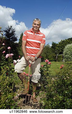 Portrait of male gardener with spade View Large Photo Image Stock Photograph - Portrait of male gardener with spade. Fotosearch