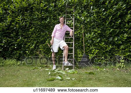Portrait of man with secateurs by ladder View Large Photo Image Stock Photo - Portrait of man with secateurs by ladder. Fotosearch