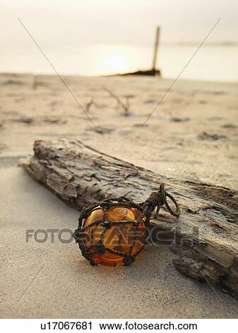 Stock Image - Glass globe net float with driftwood on beach.. Fotosearch