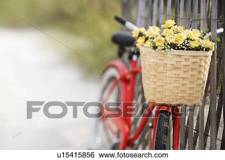 Red vintage bicycle with basket and flowers leaning against wooden fence at beach. View Large Photo Image Stock Photograph - Red vintage bicycle with basket and flowers leaning against wooden fence at beach.. Fotosearch