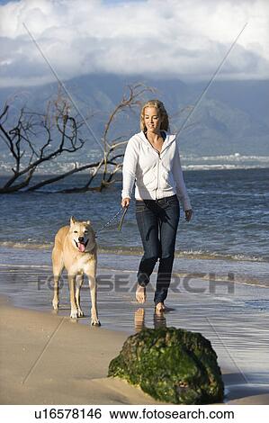 Stock Photograph - Woman walking brown dog on leash. Fotosearch