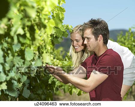 Stock Image - Couple looking at vines. Fotosearch