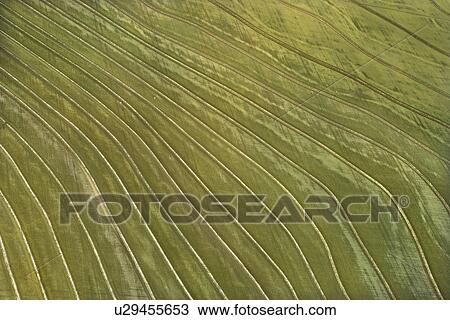 Aerial of cultivated agricultural field. View Large Photo Image Stock Image - Aerial of cultivated agricultural field.. Fotosearch