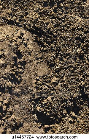Picture - Aerial view of lava rock filled terrain in Maui, Hawaii.. Fotosearch