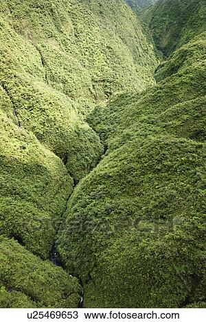 Aerial view of rainforest valley in Maui, Hawaii. View Large Photo Image Stock Image - Aerial view of rainforest valley in Maui, Hawaii.. Fotosearch
