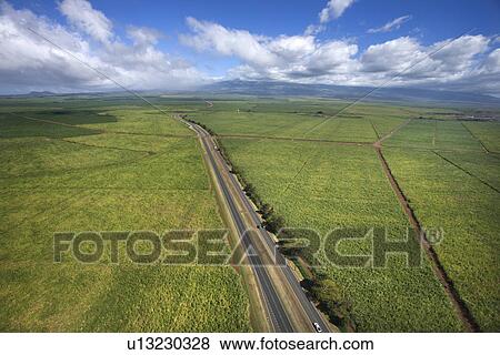 Aerial view of road passing through farmland fields in Maui, Hawaii. View Large Photo Image Stock Photo - Aerial view of road passing through farmland fields in Maui, Hawaii.. Fotosearch