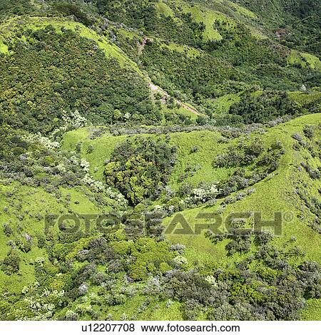 Stock Photo - Aerial view of rolling rainforest hills in Maui, Hawaii.. Fotosearch