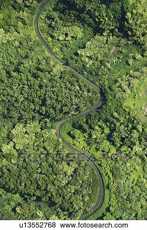 Stock Photo - Aerial view of winding road through lush green forest in Maui, Hawaii. Fotosearch