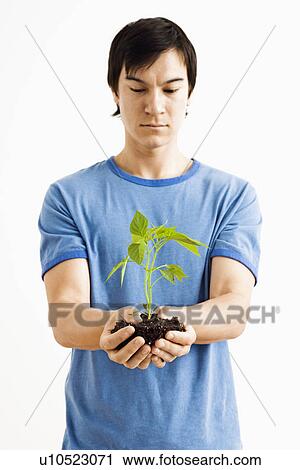 Asian man standing looking at growing cayenne plant. View Large Photo Image Stock Image - Asian man standing looking at growing cayenne plant.. Fotosearch