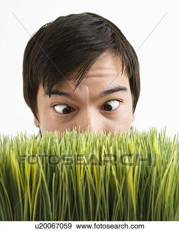 Asian young man looking over grass with eyes crossed. View Large Photo Image Stock Photo - Asian young man looking over grass with eyes crossed.. Fotosearch