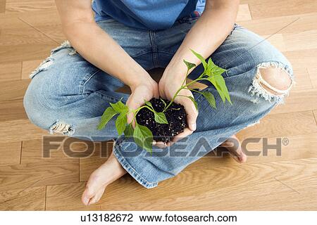 Stock Image - Man sitting on floor holding growing cayenne plant. Fotosearch
