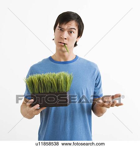 Portrait of Asian young man standing holding pot of grass. View Large Photo Image Stock Photo - Portrait of Asian young man standing holding pot of grass.. Fotosearch