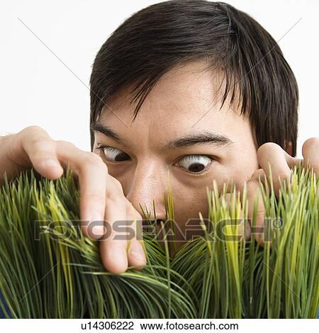 Young man looking through grass with determined expression View Large Photo Image Stock Image - Young man looking through grass with determined expression. Fotosearch