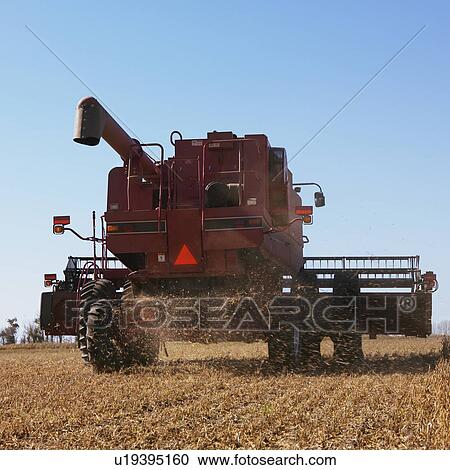 Back view of combine harvesting soybeans. View Large Photo Image Stock Image - Back view of combine harvesting soybeans.. Fotosearch