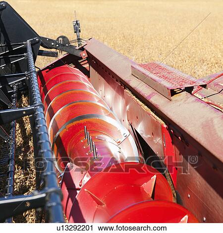 Close-up of combine rasp bars harvesting soybeans. View Large Photo Image Stock Image - Close-up of combine rasp bars harvesting soybeans.. Fotosearch