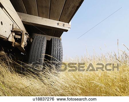 Stock Photograph - Farm truck in field. Fotosearch