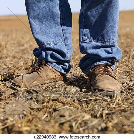 Stock Image - Feet shot of man wearing workboots standing in soybean field.. Fotosearch