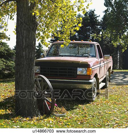 Old pick-up truck parked beside old wagon wheel leaning on tree in yard. View Large Photo Image Stock Image - Old pick-up truck parked beside old wagon wheel leaning on tree in yard.. Fotosearch