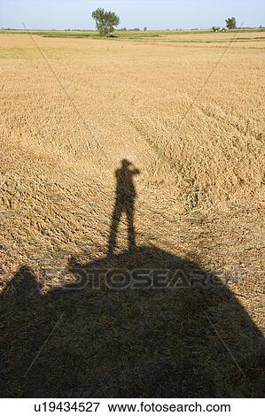Shadow of figure standing on farm equipment overlooking harvested cropland View Large Photo Image Stock Photo - Shadow of figure standing on farm equipment overlooking harvested cropland. Fotosearch