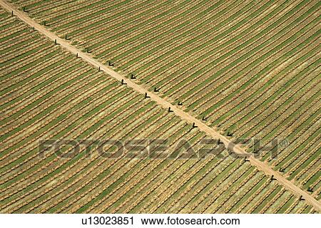 Aerial of agricultural farmland with dirt road View Large Photo Image Stock Image - Aerial of agricultural farmland with dirt road. Fotosearch
