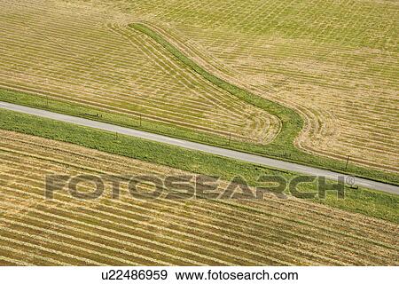 Aerial of rows in agricultural cropland View Large Photo Image Stock Photo - Aerial of rows in agricultural cropland. Fotosearch