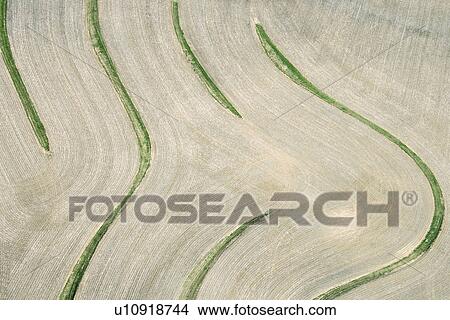 Picture - Aerial view of cropland with curvy lines. Fotosearch
