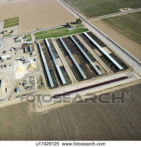 Aerial view of livestock farmland in Arizona. View Large Photo Image Stock Photography - Aerial view of livestock farmland in Arizona.. Fotosearch