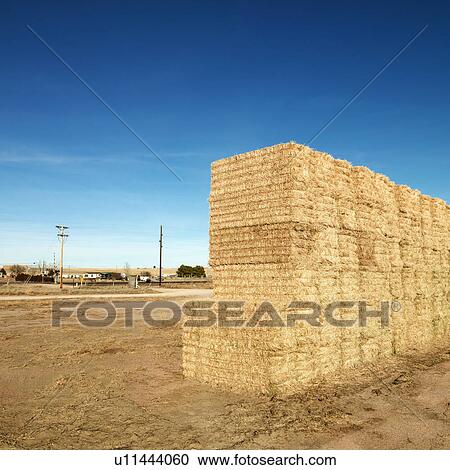 Bales of hay in rural landscape View Large Photo Image Stock Image - Bales of hay in rural landscape. Fotosearch
