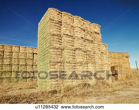 Bales of hay in rural setting View Large Photo Image Stock Image - Bales of hay in rural setting. Fotosearch