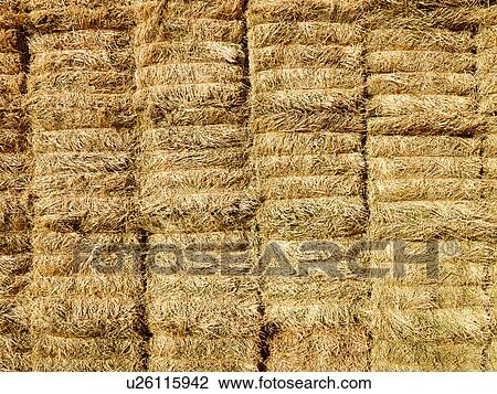 Close up of bales of hay View Large Photo Image Stock Image - Close up of bales of hay. Fotosearch