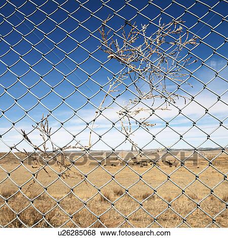 Entagled brush in fence with landscape in background. View Large Photo Image Stock Photo - Entagled brush in fence with landscape in background.. Fotosearch