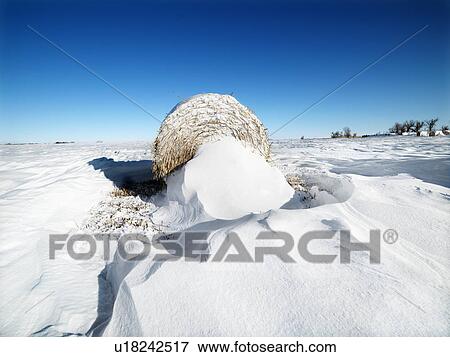 Hay bale in snow covered field with a blue sky View Large Photo Image Stock Photo - Hay bale in snow covered field with a blue sky. Fotosearch