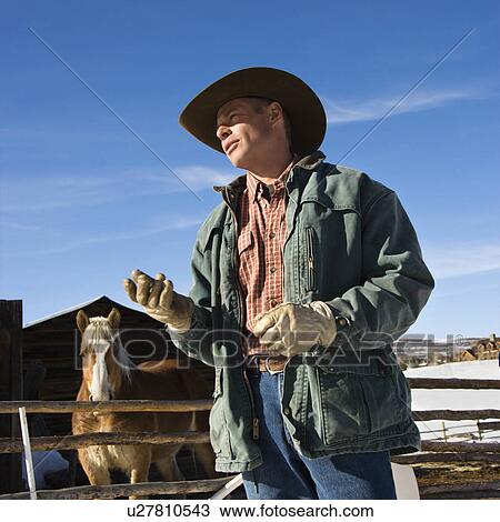 Middle-aged Caucasian male wrangler with horse in background. View Large Photo Image Stock Image - Middle-aged Caucasian male wrangler with horse in background.. Fotosearch