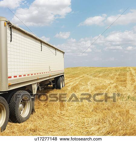 Tractor trailer truck in harvested crop field. View Large Photo Image Stock Photo - Tractor trailer truck in harvested crop field.. Fotosearch