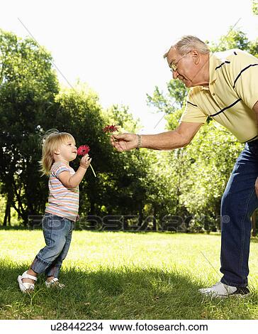 Picture - Grandfather and granddaughter holding flowers and smelling. Fotosearch
