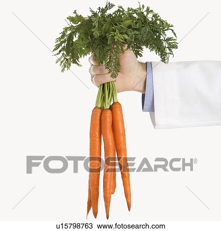Caucasian mid adult male physician holding bunch of carrots. View Large Photo Image Stock Image - Caucasian mid adult male physician holding bunch of carrots.. Fotosearch