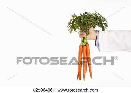 Caucasian mid adult male physician holding bunch of carrots. View Large Photo Image Stock Image - Caucasian mid adult male physician holding bunch of carrots.. Fotosearch