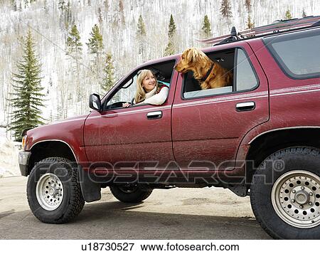 Woman and dog in dirt splattered SUV looking out windows at each other in snowy countryside View Large Photo Image Stock Photo - Woman and dog in dirt splattered SUV looking out windows at each other in snowy countryside. Fotosearch