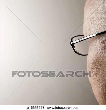 Backview of mid-adult Caucasian male's head. View Large Photo Image Stock Image - Backview of mid-adult Caucasian male's head.. Fotosearch