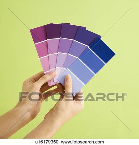 Caucasian female hands holding paint color samples. View Large Photo Image Stock Image - Caucasian female hands holding paint color samples.. Fotosearch