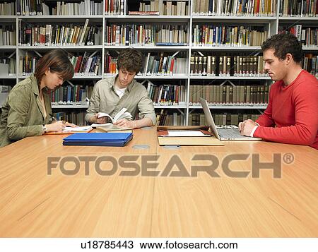 Young people studying in library View Large Photo Image Stock Image - Young people studying in library. Fotosearch