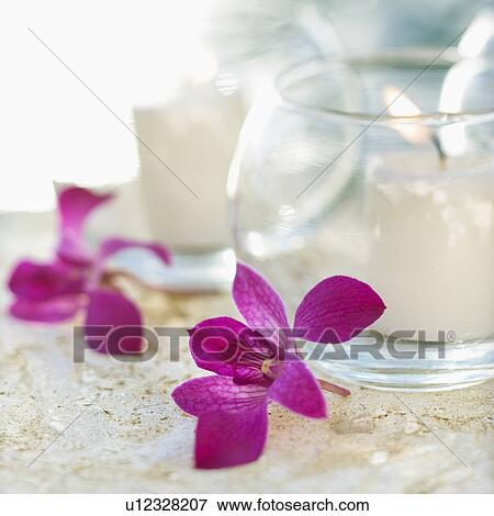 Close up of candles and purple orchids. View Large Photo Image Stock Photo - Close up of candles and purple orchids.. Fotosearch