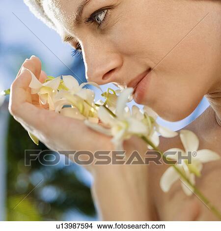 Picture - Close up of Caucasian mid-adult woman holding white orchid flowers up to face.. Fotosearch
